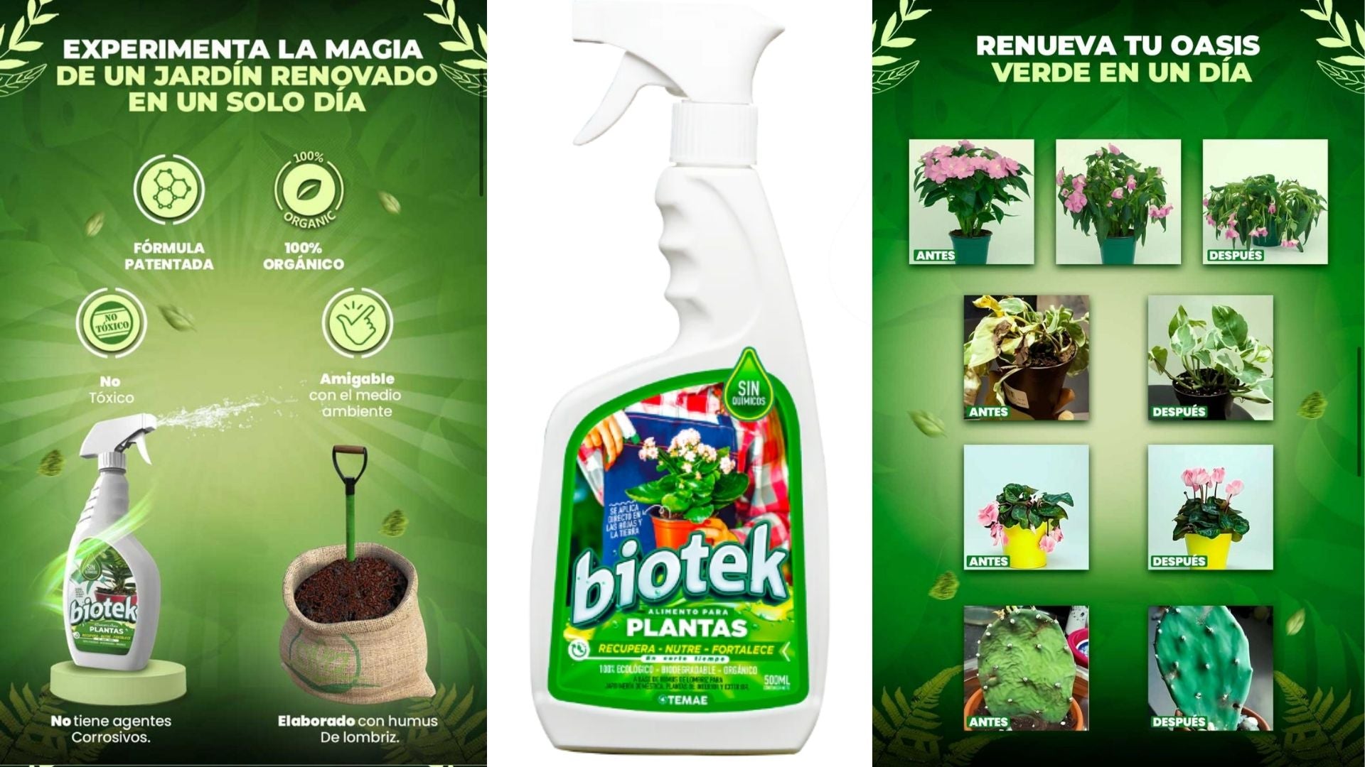 BIOTEK - ALIMENTO PARA PLANTAS